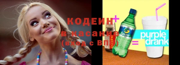 индика Абинск
