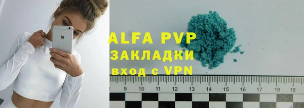 индика Абинск