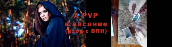 крисы Абдулино