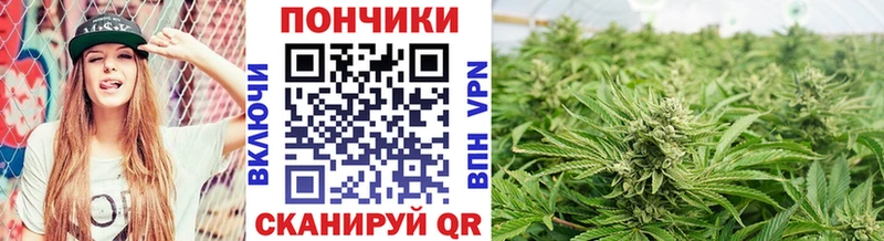 Каннабис Amnesia KRAKEN как войти Холмск